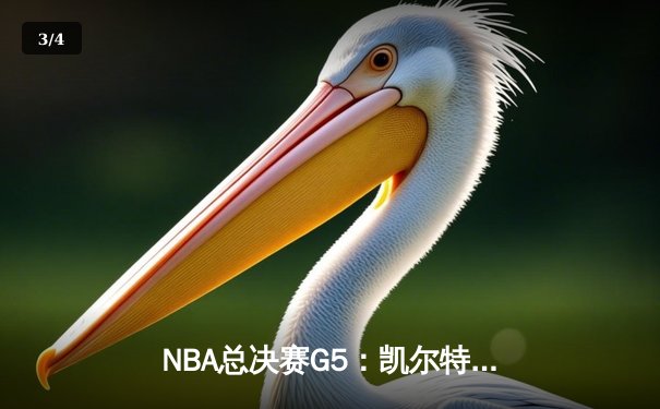 NBA总决赛G5：凯尔特人逆转独行侠夺冠，塔图姆率队斩获队史第18冠 - 3